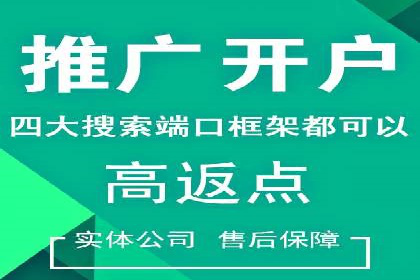 行业领先企业的SEM运营策略案例解析